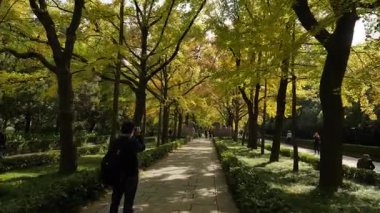 Nanjing 'deki Ming Xiaoling mozolesinde doğal ve mimari manzara