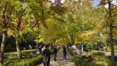 Nanjing 'deki Ming Xiaoling mozolesinde doğal ve mimari manzara