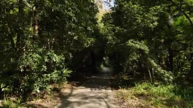 Nanjing 'deki Ming Xiaoling mozolesinde doğal ve mimari manzara