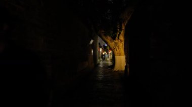 Çin 'in Nanjing şehrindeki eski toprak manzarası, geleneksel Çin kanalı mimarisini gözler önüne seriyor..