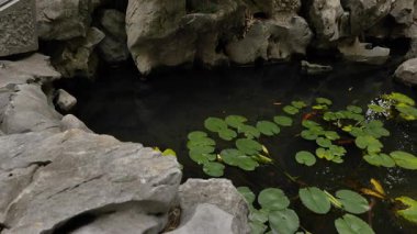 Nanjing 'deki Başkanlık Sarayı' nın manzarası ve manzarası. Yüksek kalite 4k görüntü