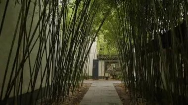 Nanjing 'deki Başkanlık Sarayı' nın manzarası ve manzarası. Yüksek kalite 4k görüntü