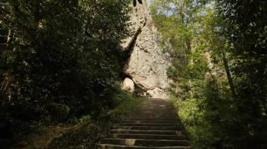 Wenzhou Çin 'deki güney yandang dağlarının doğal manzarası. Yüksek kalite 4k görüntü