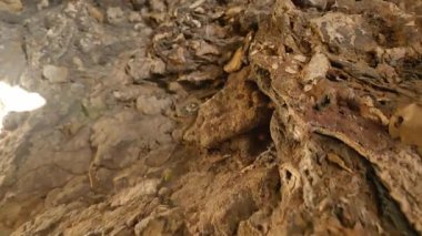 Wenzhou Çin 'deki güney yandang dağlarının doğal manzarası. Yüksek kalite 4k görüntü