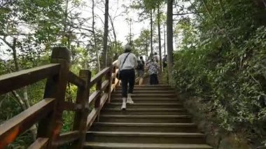 Fujian 'daki Taimu Dağı' nın doğal manzarası. Yüksek kalite 4k görüntü