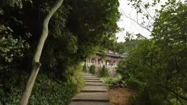 Fujian 'daki Taimu Dağı' nın doğal manzarası. Yüksek kalite 4k görüntü