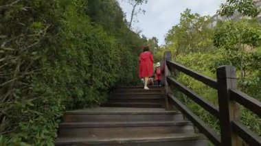 Fujian 'daki Taimu Dağı' nın doğal manzarası. Yüksek kalite 4k görüntü