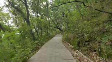 Xinchang İlçesi, Çin 'in Zhejiang eyaletini tıraş ediyor - 8 Mart 2022, parkta geleneksel mimari. Yüksek kalite 4k görüntü