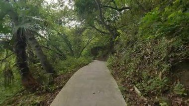 Xinchang İlçesi, Çin 'in Zhejiang eyaletini tıraş ediyor - 8 Mart 2022, parkta geleneksel mimari. Yüksek kalite 4k görüntü