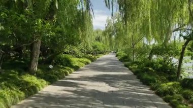 Doğal manzara ve Yangzhou 'daki Slender West Lake' in tarihi Çin mimarisi. Yüksek kalite 4k görüntü