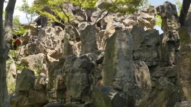 Ge Garden, Yangzhou, Jiangsu, Çin 'deki tarihi mimari ve doğal manzara. Yüksek kalite 4k görüntü