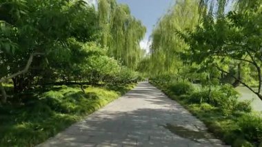Doğal manzara ve Yangzhou 'daki Slender West Lake' in tarihi Çin mimarisi. Yüksek kalite 4k görüntü