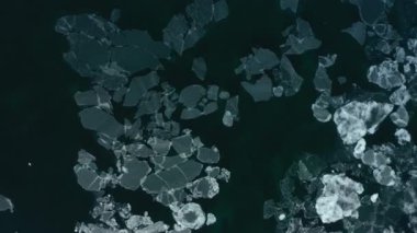 Kış mevsiminde Kanada Atlantik kıyısında kayan deniz buzunun hava manzarası, yukarıda yüzen buz kütlelerini ve donmuş kıyı sularını gösteriyor..