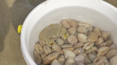 İnsanların denizden aldığı deniz mahsullerinin yakınına. Yüksek kalite 4k görüntü