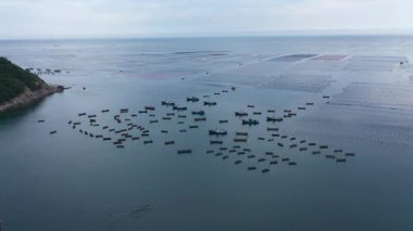 Lushun, Dalian 'daki Balıkçılık Filosu ve Deniz Ürünleri Çiftliği Havadan Görünümü. Yüksek kalite 4k görüntü