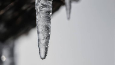 Eriyen buz saçağının detaylı bir yakın çekimi, siyah ve beyaz olarak ele geçirilmiş, kışın buz oluşumlarının güzelliğini gözler önüne seriyor..