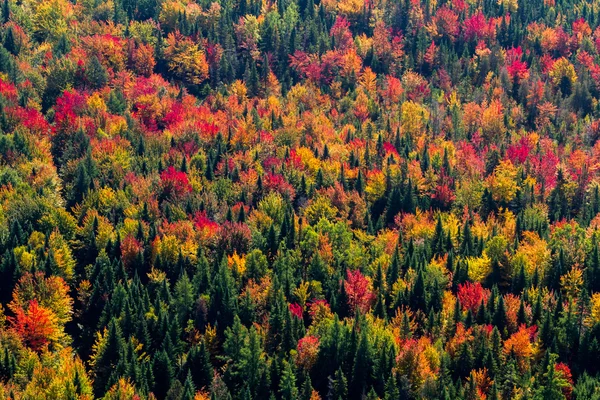 Luchtfoto landschapsmening — Stockfoto