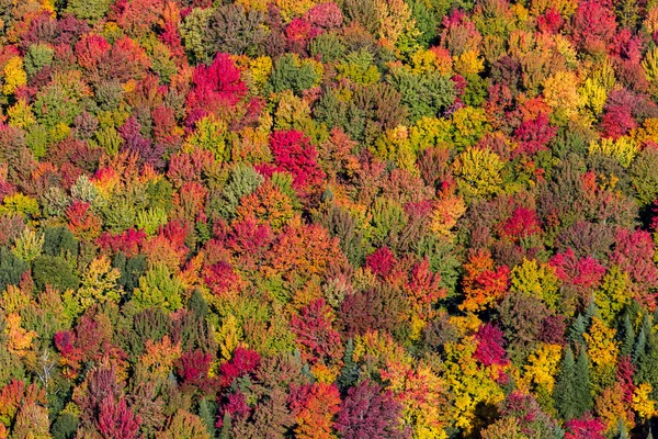 Luchtfoto val landschapsmening — Stockfoto