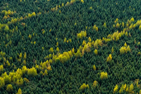 Vista aérea da paisagem . — Fotografia de Stock