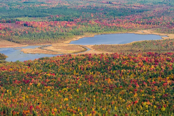 Herfst luchtfoto landschapsmening — Stockfoto