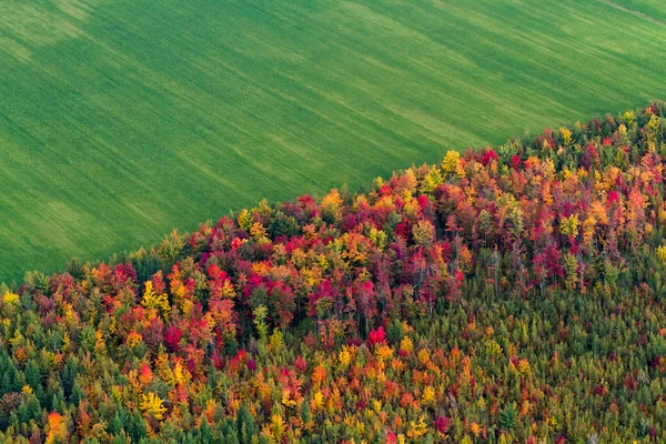 Vista aérea da paisagem da queda . — Fotografia de Stock