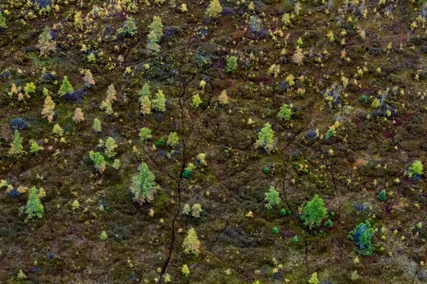 Paisagem de queda aérea — Fotografia de Stock