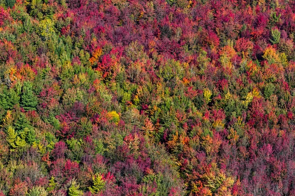 Luchtfoto Fall View — Stockfoto