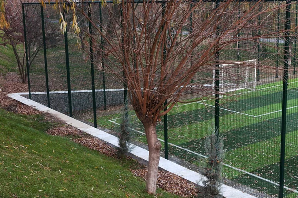 Yapay Yeşil Çimenlikli Bir Spor Sahası Akşam Vakti — Stok fotoğraf