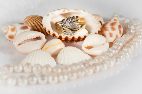 Bijoux Parmi Les Coquillages Belles Coquillages Une Chaîne Perles Anneaux — Photo