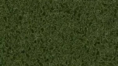 Arkaplan için yeşil çimen dokusu