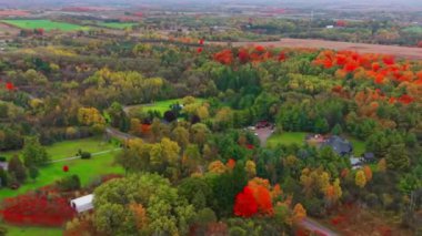 Ağaçlar ve yapraklarla dolu güzel sonbahar manzarası