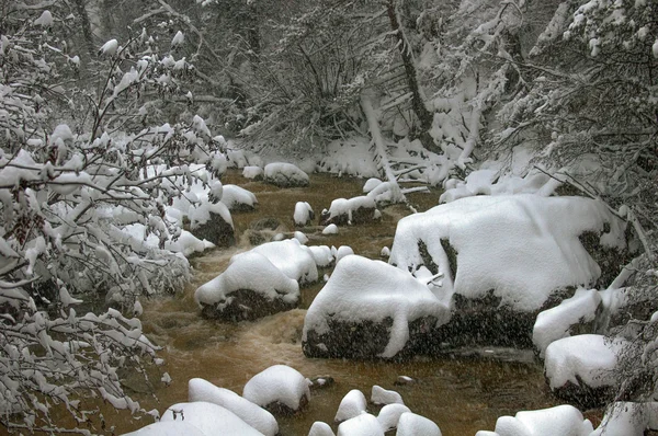 Rzeki w zimie — Zdjęcie stockowe