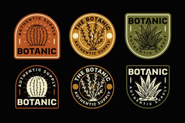 botanic cactus retro badge logo vector design set for outdoor. cactus and agave plants vintage emblem design pack for adventure. desert flora label patch design for western wildlife