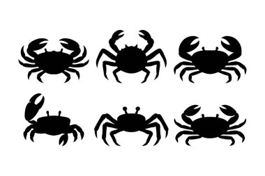 Yengeç, Deniz Yengeci, Kabuklu ikon tasarım koleksiyonu eğitim, akvaryum, bilim, deniz ürünleri, vahşi yaşam için katı bir stile sahip. Kral, Münzevi, Kemancı, Örümcek, Çamur, Genel Kıyı Yengeci Çizimi