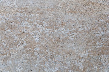 Kum ve deniz kabuklarından yapılmış doğal hindistan cevizi kabuğu kaya duvarı..