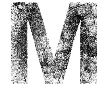 Çatlamış yüzey dokusuna sahip dekoratif harf beyaz arkaplanda izole edildi.