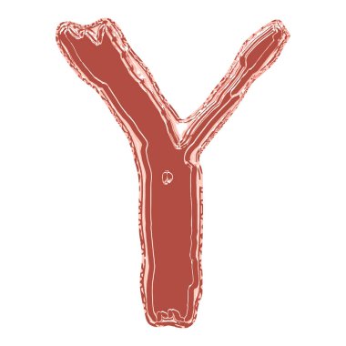 Dekoratif vektör harfi. Sanat yazı tipi.