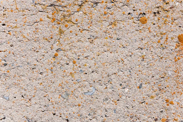 コンクリート壁表面の質感 — ストック写真