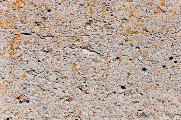 Texture Surface Mur Béton — Photo