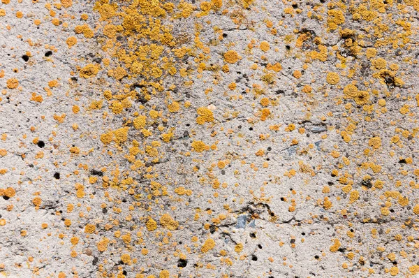 Betonnen Wandoppervlaktestructuur — Stockfoto