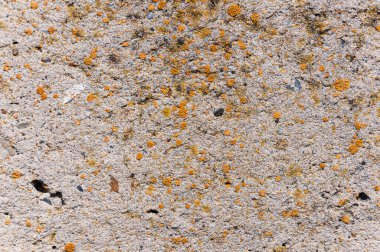 Beton duvar yüzey dokusu.