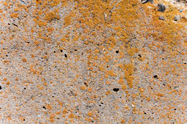 Beton duvar yüzey dokusu.