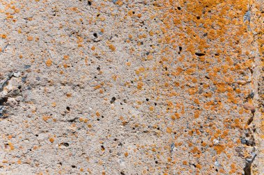 Beton duvar yüzey dokusu.