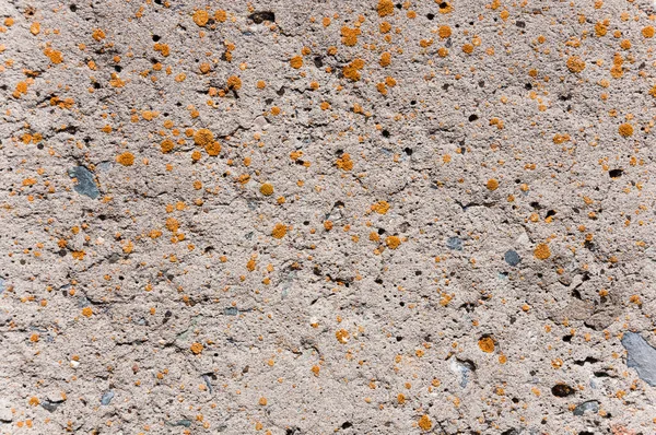 Concrete Wall Surface Texture — Stock Photo, Image