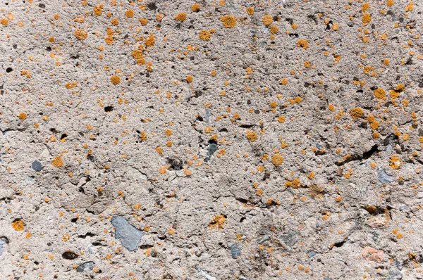 Oberflächenstruktur Der Betonwand — Stockfoto