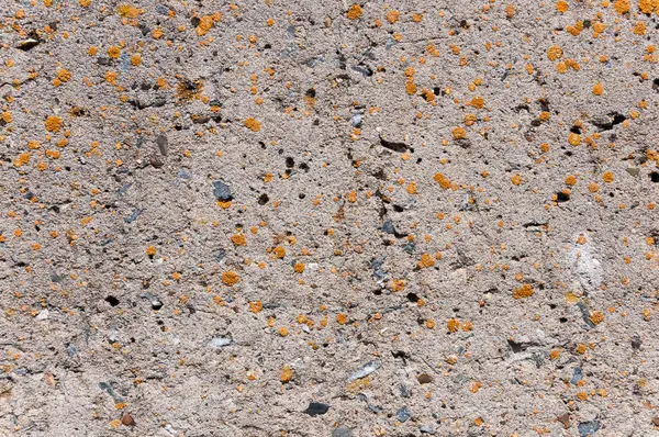 Textura Povrchu Betonové Stěny — Stock fotografie