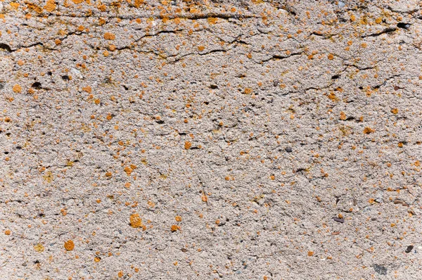Textura Superfície Parede Concreto — Fotografia de Stock