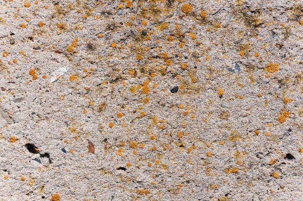 Texture Surface Mur Béton — Photo