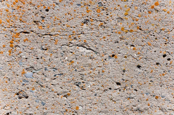 Texture Surface Mur Béton — Photo