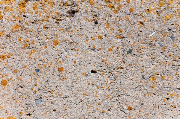 Concrete Wall Surface Texture — Stock Photo, Image